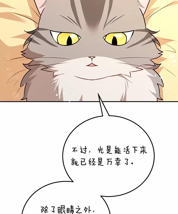 《你好？兽医先生！》28.救命恩人 第68页