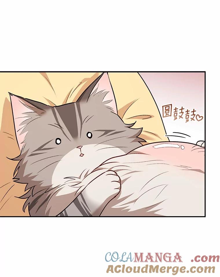 《你好？兽医先生！》28.救命恩人 第82页