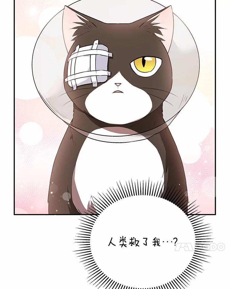 《你好？兽医先生！》28.救命恩人 第32页