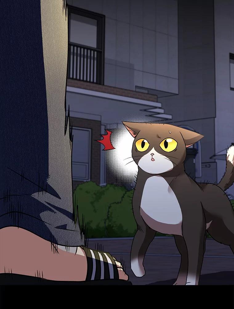 《你好？兽医先生！》28.救命恩人 第44页