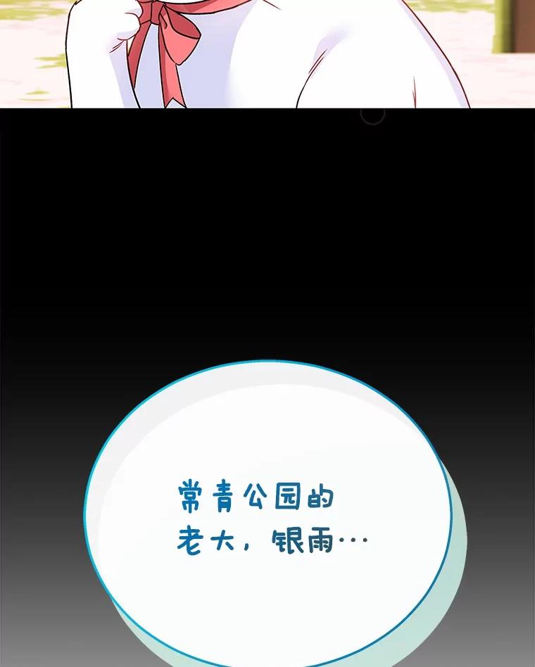 《你好？兽医先生！》30.小灰小黑的见面 第107页