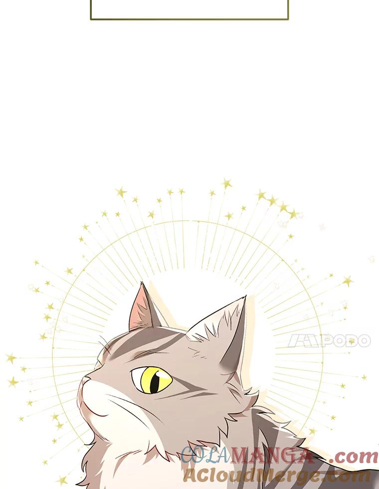 《你好？兽医先生！》30.小灰小黑的见面 第37页