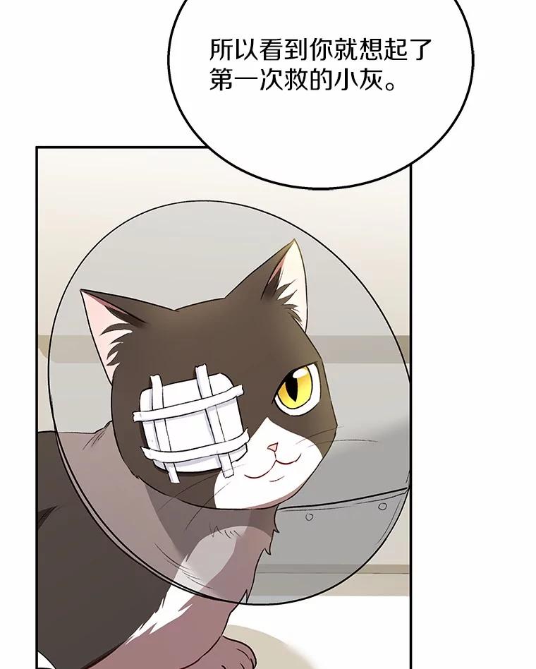 《你好？兽医先生！》30.小灰小黑的见面 第3页