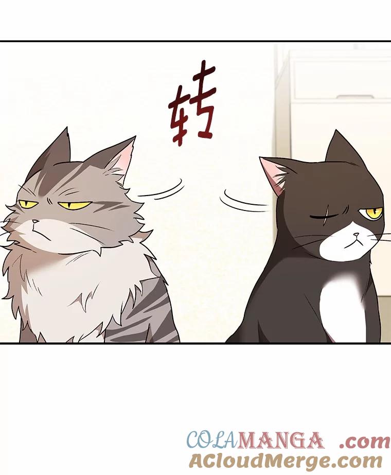 《你好？兽医先生！》30.小灰小黑的见面 第133页