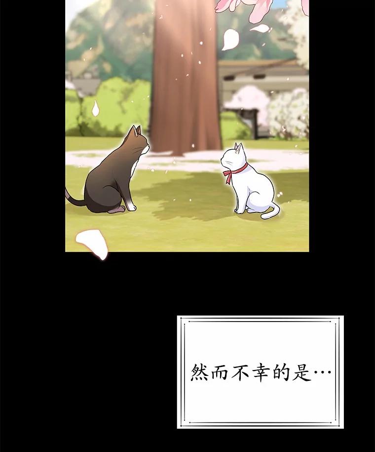 《你好？兽医先生！》30.小灰小黑的见面 第103页