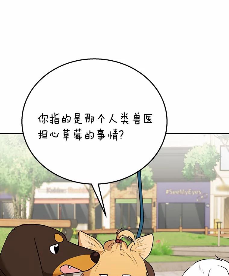 《你好？兽医先生！》31.公园里的草莓 第80页