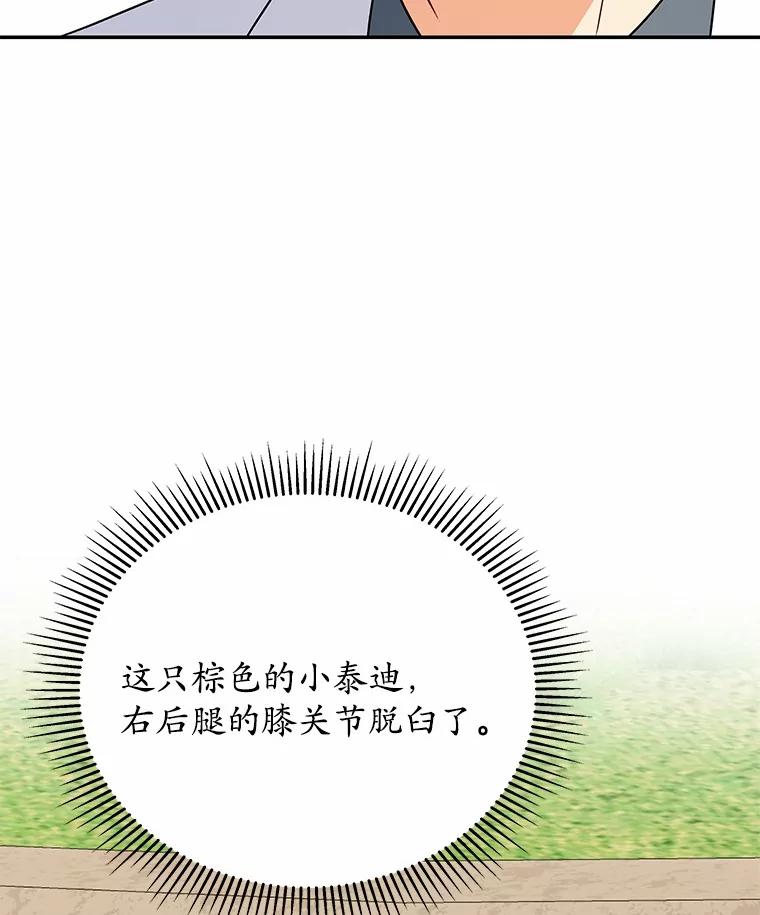 《你好？兽医先生！》31.公园里的草莓 第32页