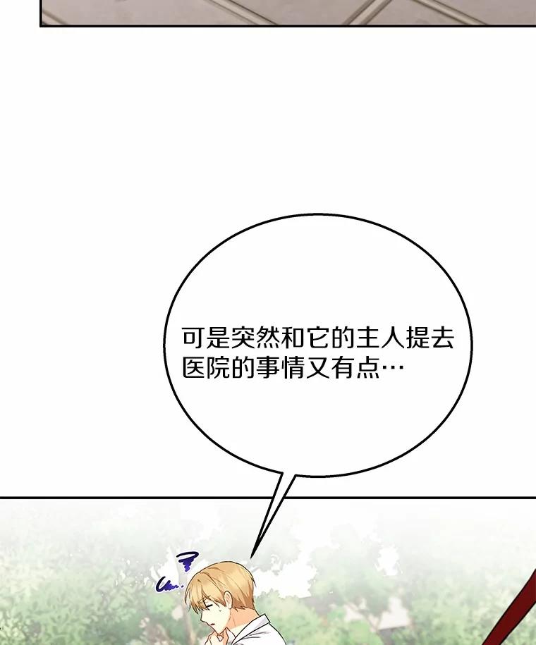 《你好？兽医先生！》31.公园里的草莓 第36页