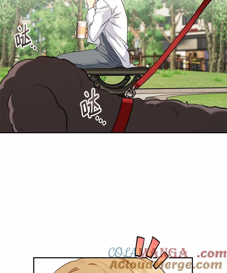 《你好？兽医先生！》31.公园里的草莓 第37页