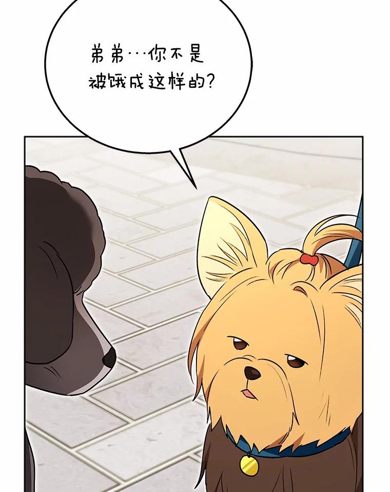 《你好？兽医先生！》32.生活要继续 第83页
