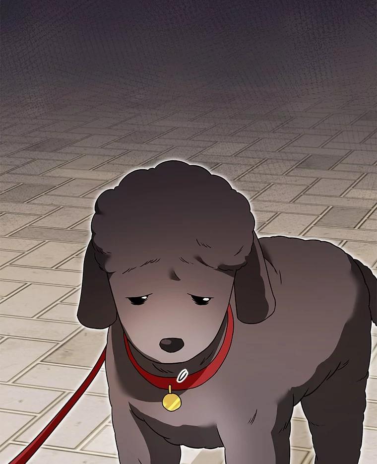 《你好？兽医先生！》32.生活要继续 第78页