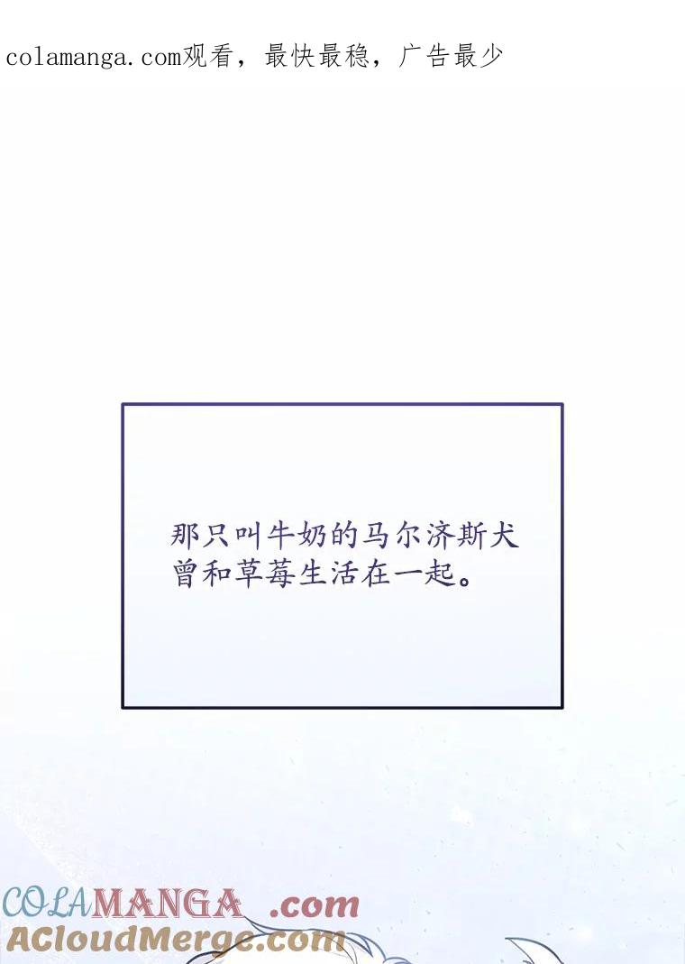 《你好？兽医先生！》32.生活要继续 第1页