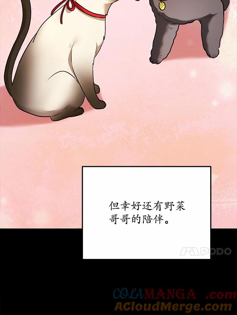 《你好？兽医先生！》34.野菜的心结（2） 第29页