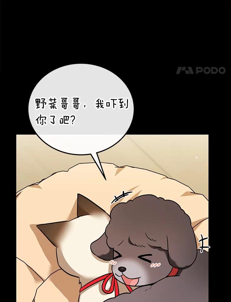 《你好？兽医先生！》34.野菜的心结（2） 第36页