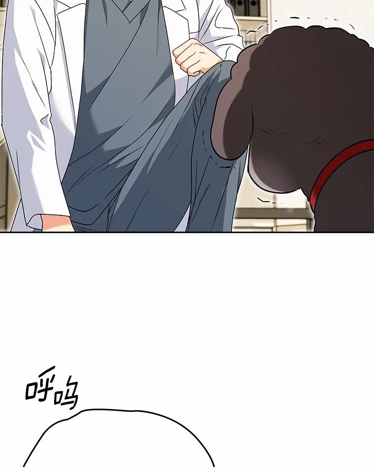 《你好？兽医先生！》34.野菜的心结（2） 第48页