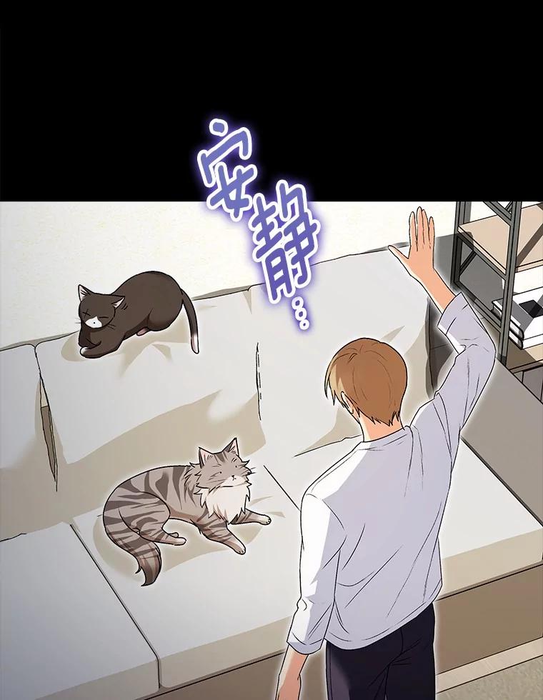《你好？兽医先生！》35.我会好好生活的 第12页
