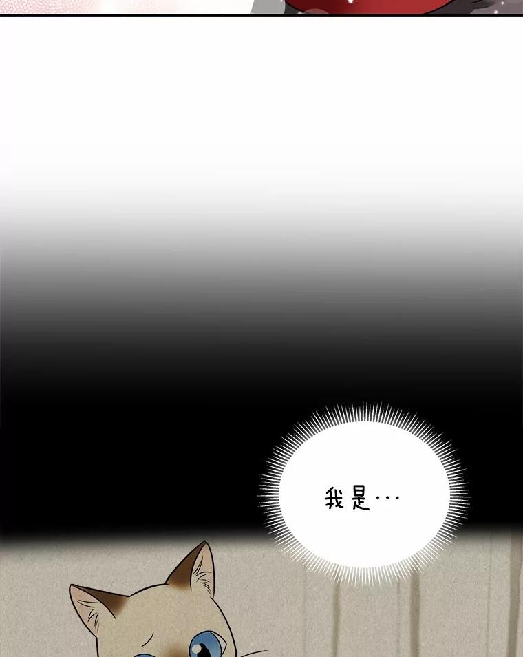 《你好？兽医先生！》35.我会好好生活的 第70页
