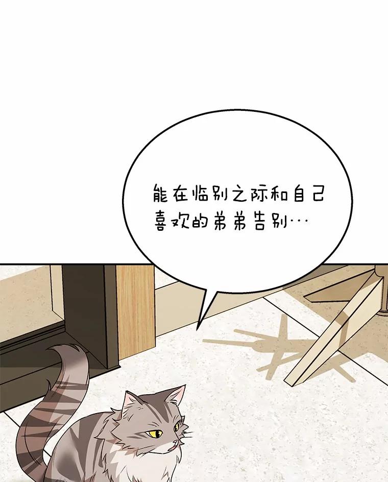《你好？兽医先生！》35.我会好好生活的 第52页