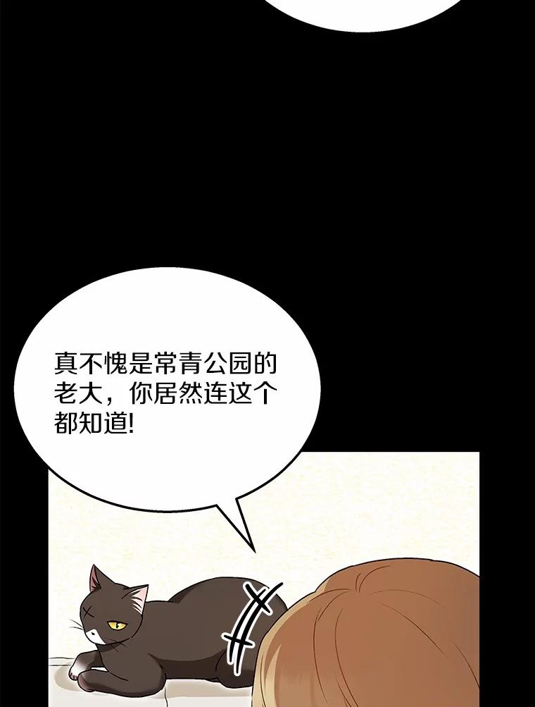 《你好？兽医先生！》35.我会好好生活的 第2页