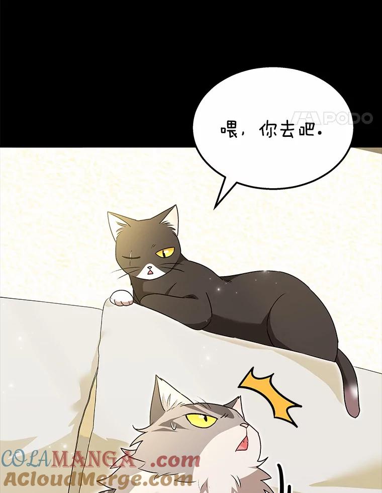 《你好？兽医先生！》35.我会好好生活的 第17页