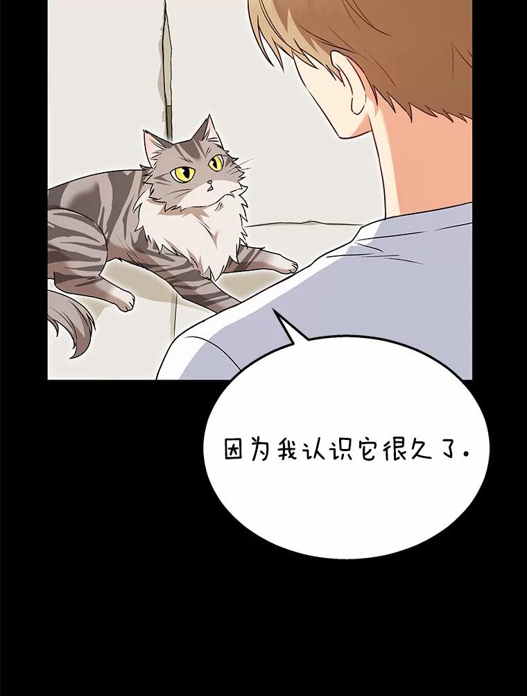 《你好？兽医先生！》35.我会好好生活的 第3页