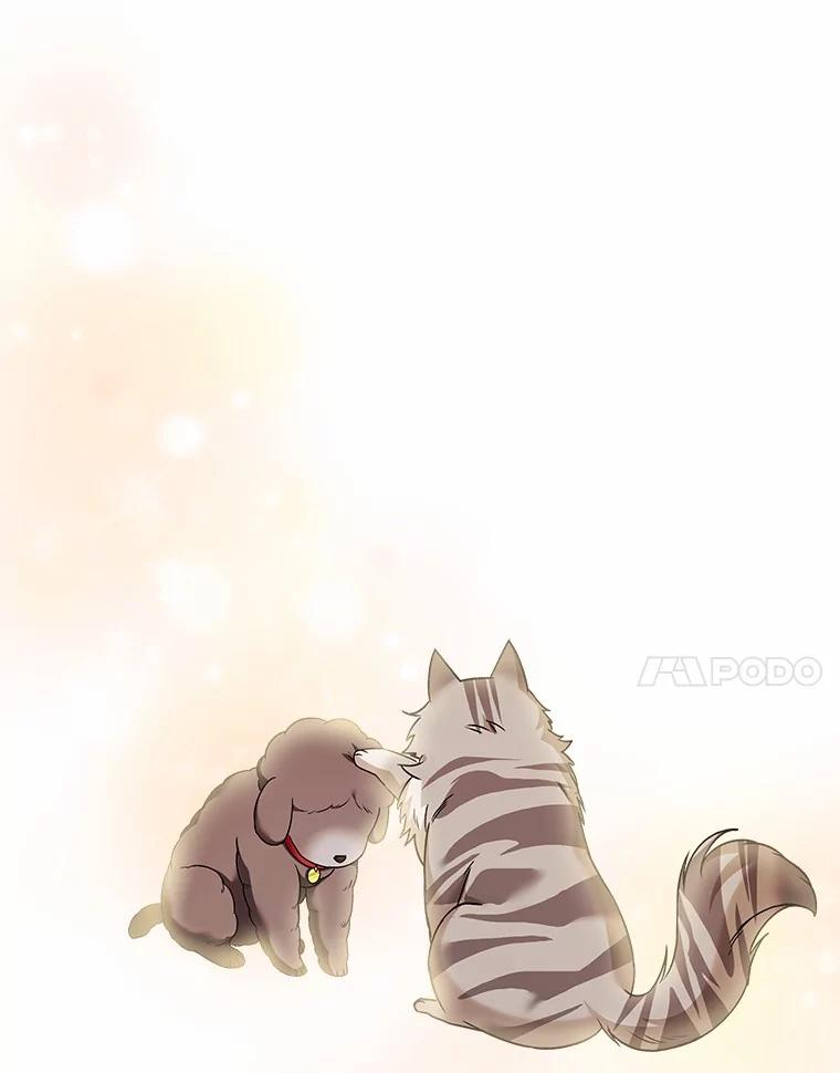 《你好？兽医先生！》35.我会好好生活的 第78页