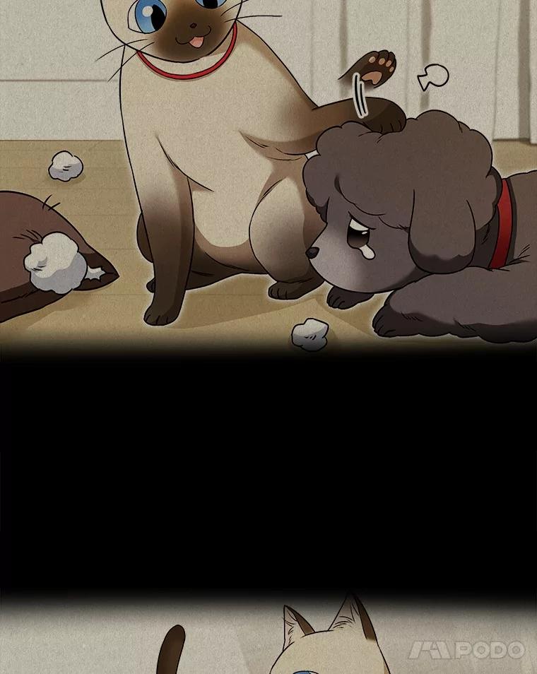 《你好？兽医先生！》35.我会好好生活的 第71页