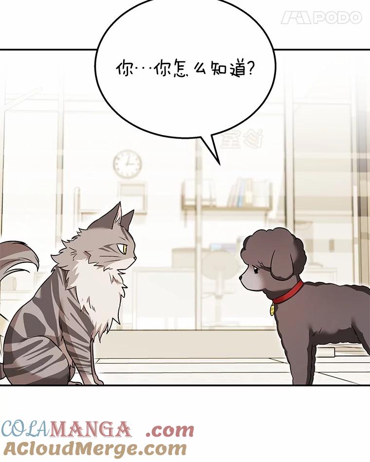 《你好？兽医先生！》35.我会好好生活的 第45页