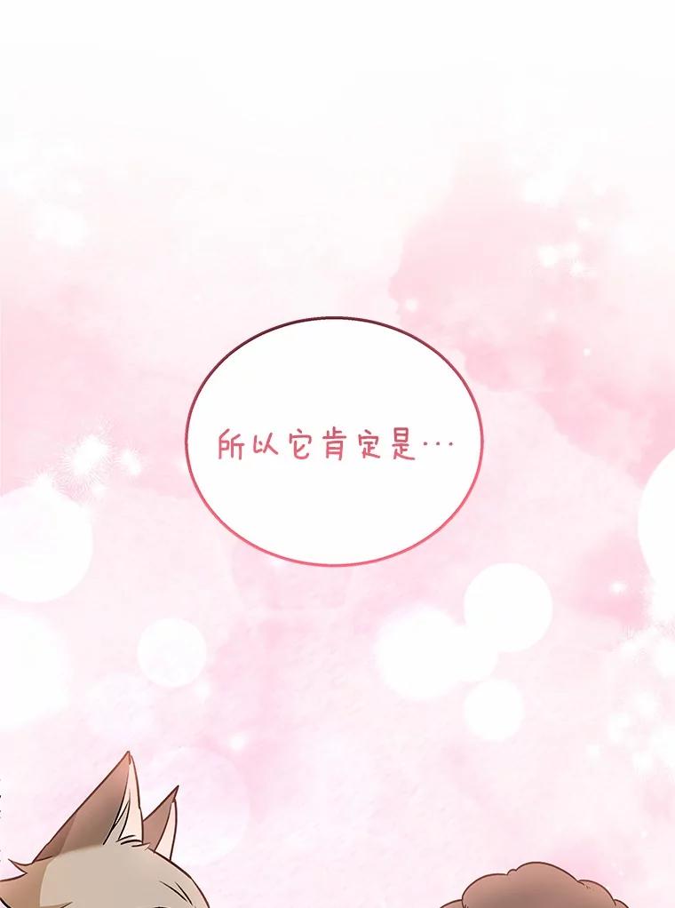 《你好？兽医先生！》35.我会好好生活的 第67页