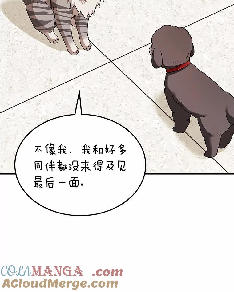 《你好？兽医先生！》35.我会好好生活的 第53页