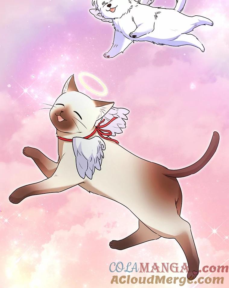 《你好？兽医先生！》35.我会好好生活的 第121页