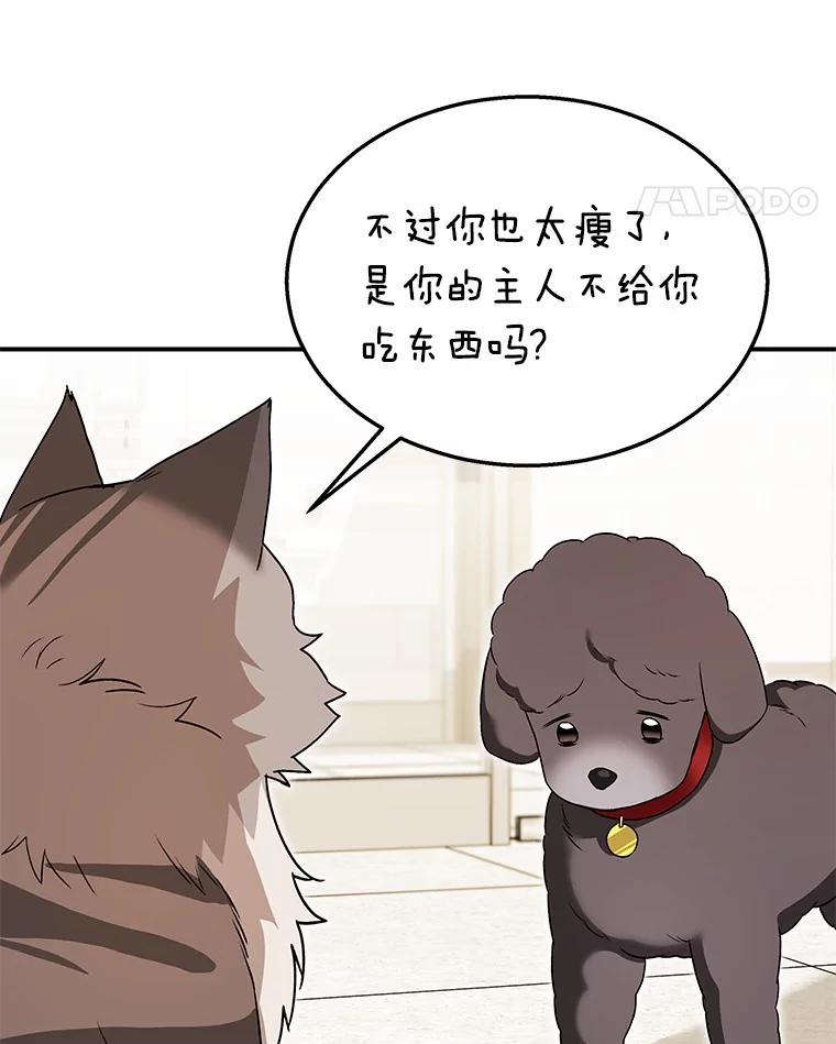 《你好？兽医先生！》35.我会好好生活的 第38页