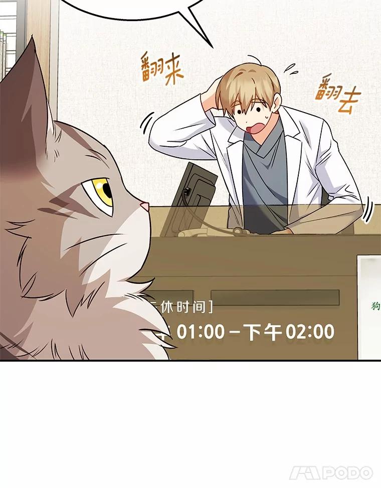 《你好？兽医先生！》35.我会好好生活的 第82页