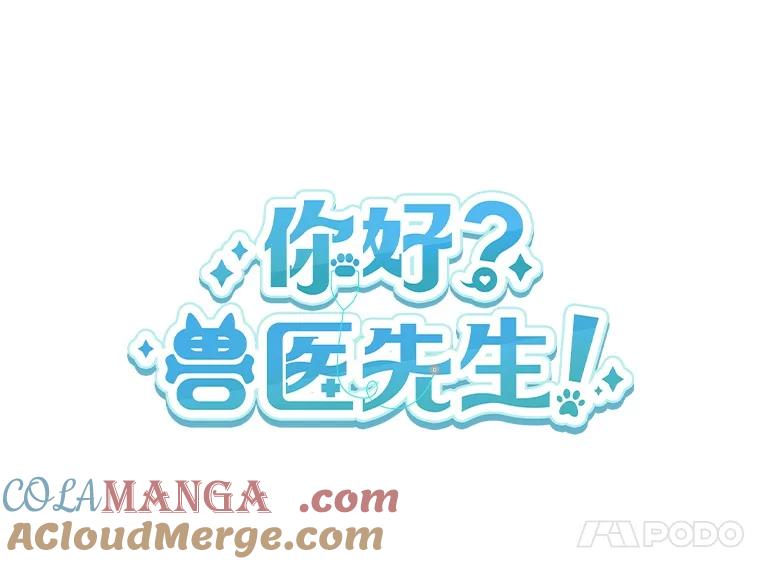《你好？兽医先生！》37.隐退派对（1） 第33页