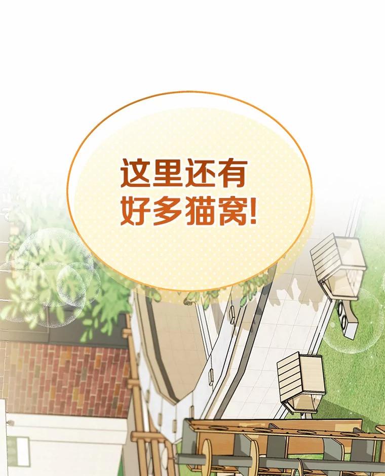 《你好？兽医先生！》37.隐退派对（1） 第38页
