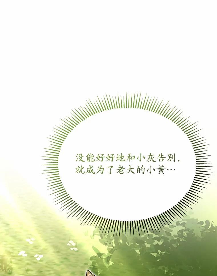 《你好？兽医先生！》37.隐退派对（1） 第68页
