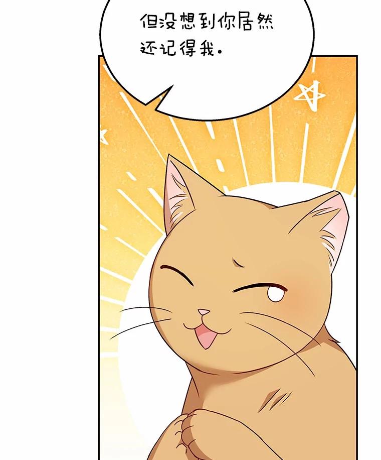 《你好？兽医先生！》38.隐退派对（2） 第19页