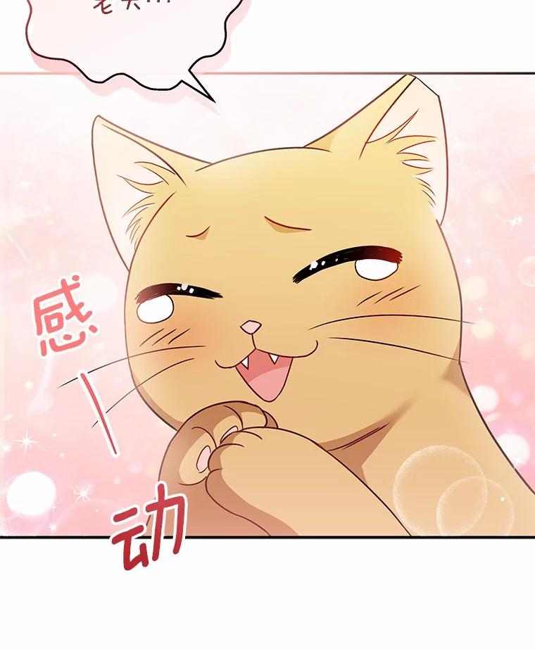 《你好？兽医先生！》38.隐退派对（2） 第24页