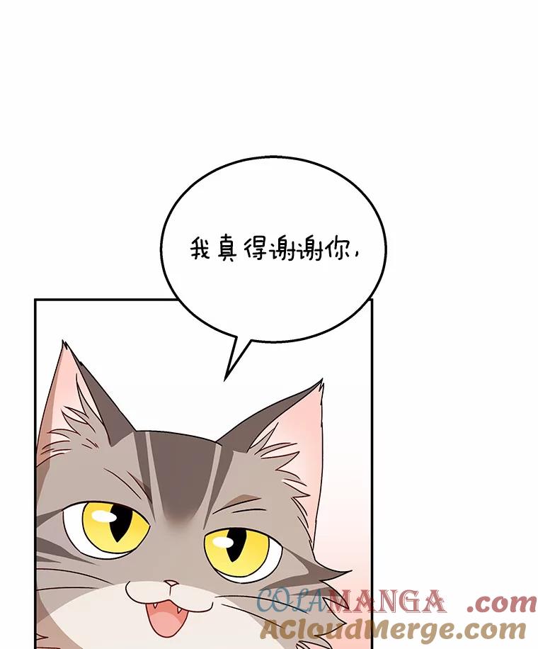 《你好？兽医先生！》38.隐退派对（2） 第17页