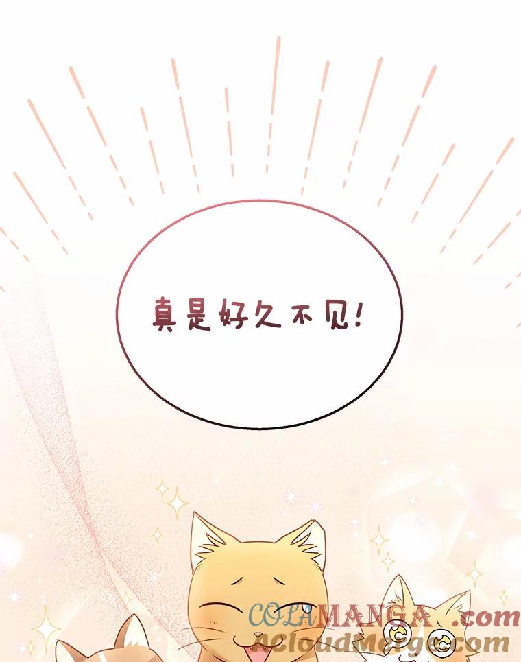 《你好？兽医先生！》38.隐退派对（2） 第13页