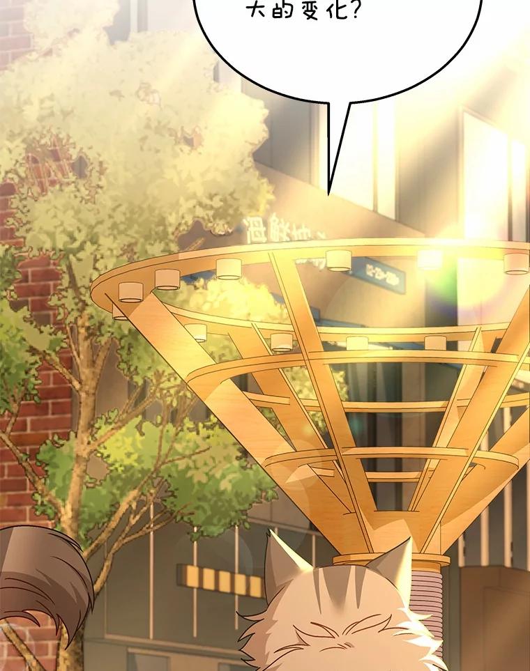 《你好？兽医先生！》38.隐退派对（2） 第3页