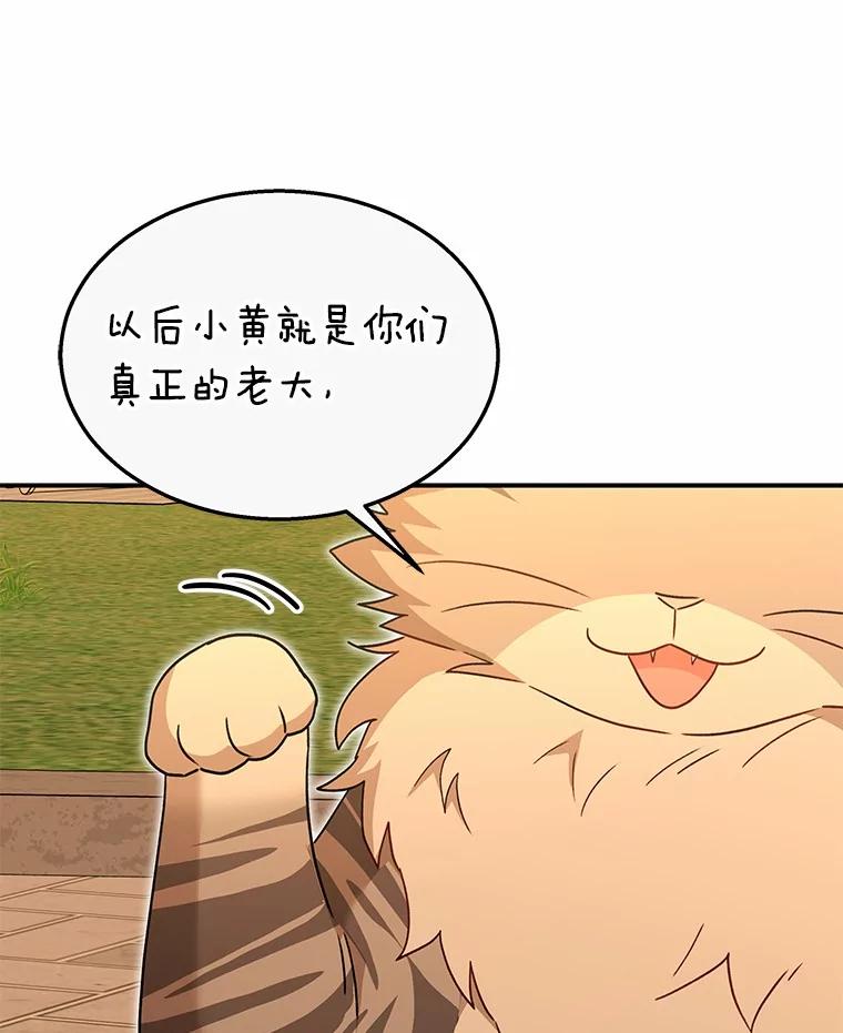 《你好？兽医先生！》38.隐退派对（2） 第75页