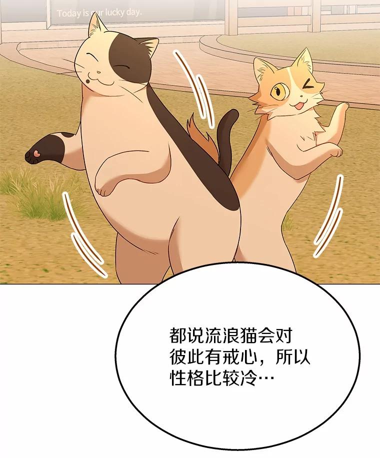 《你好？兽医先生！》39.要接受采访吗？ 第22页