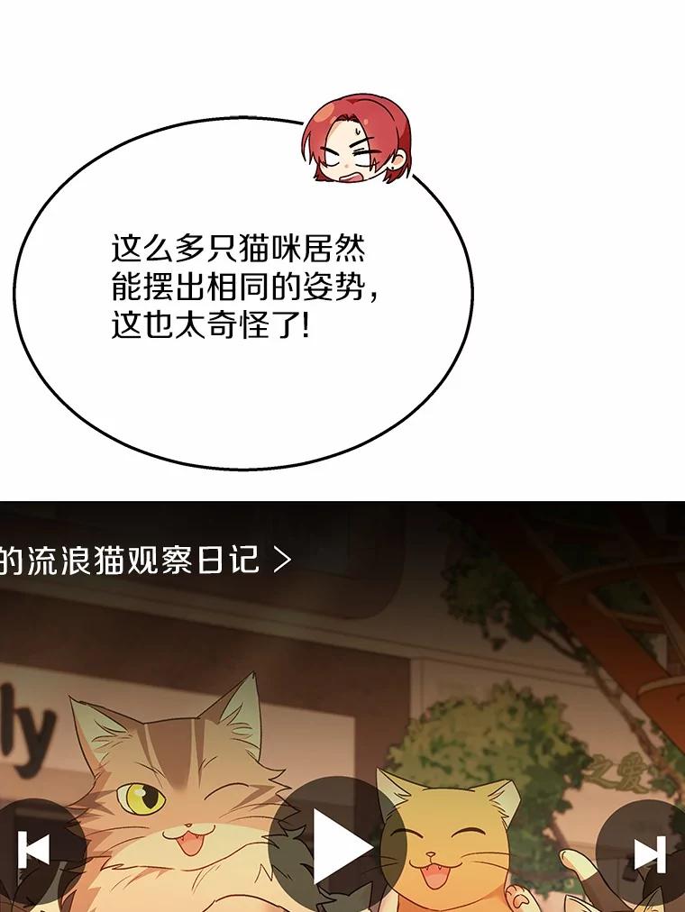 《你好？兽医先生！》39.要接受采访吗？ 第27页