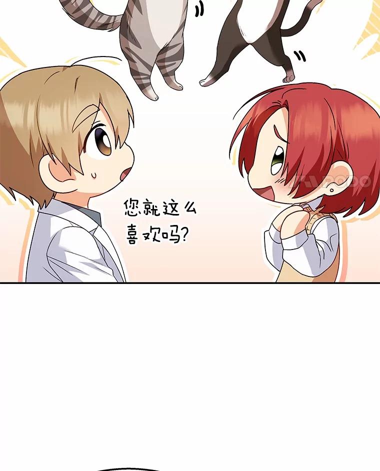 《你好？兽医先生！》39.要接受采访吗？ 第87页