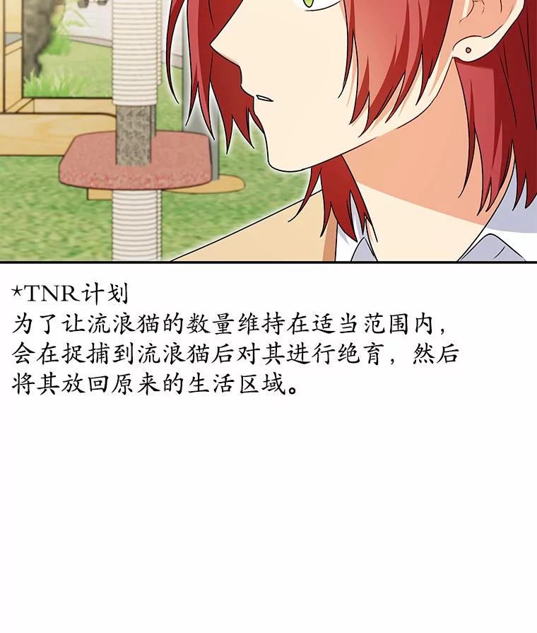 《你好？兽医先生！》40.亲自去看看吧 第62页