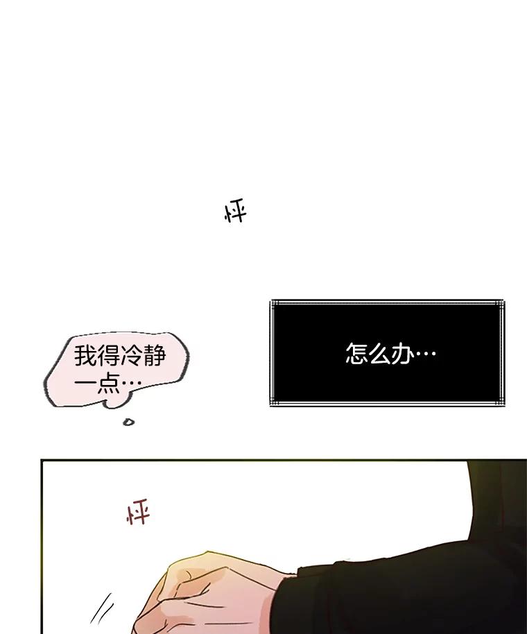 《触发嫉妒》40.黑粉出现 第87页