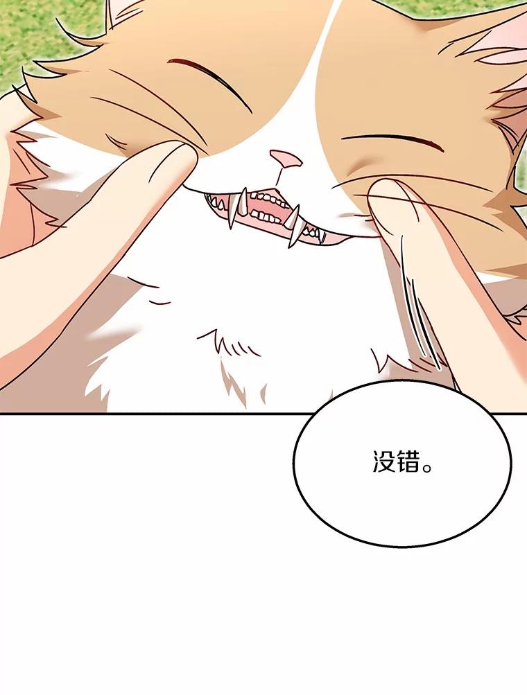 《你好？兽医先生！》40.亲自去看看吧 第40页