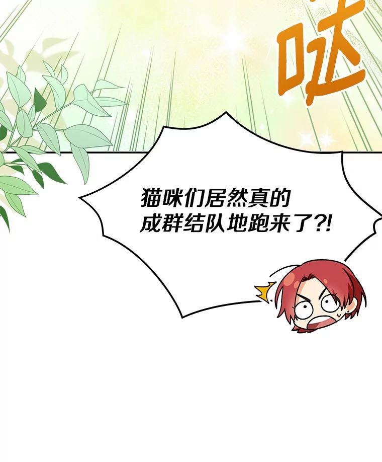 《你好？兽医先生！》40.亲自去看看吧 第27页