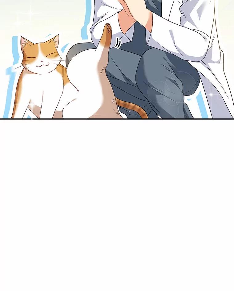 《你好？兽医先生！》40.亲自去看看吧 第95页